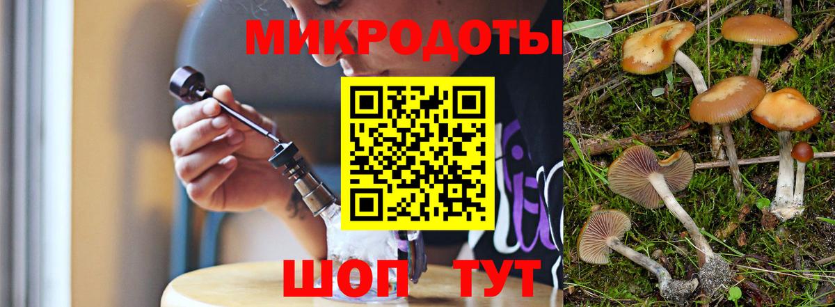 Псилоцибиновые грибы ЛСД Донской