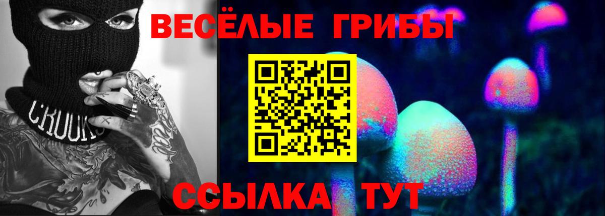 Галлюциногенные грибы прущие грибы  Галлюциногенные грибы ЛСД  Донской  Вход с VPN 